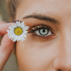 Augen