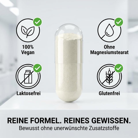 Vihado Magnesium Bisglycinat 365 XXL-Vorrat, 200 mg elementares Magnesium pro Tagesdosis, hochdosiert, 365 vegane Kapseln
