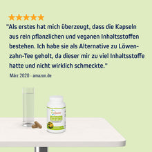 Vihado Löwenzahn Kapseln – naturbelassenes Löwenzahnwurzel Pulver in pflanzlichen Kapseln – bewährtes Nahrungsergänzungsmittel – 120 Kapseln