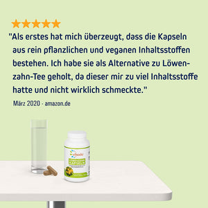 Vihado Löwenzahn Kapseln – naturbelassenes Löwenzahnwurzel Pulver in pflanzlichen Kapseln – bewährtes Nahrungsergänzungsmittel – 120 Kapseln
