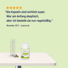 Vihado Artischocken Mariendistel Kapseln – naturbelassen und ohne Zusätze – hochdosierte Kapseln zur Nahrungsergänzung – 90 Kapseln (49g)