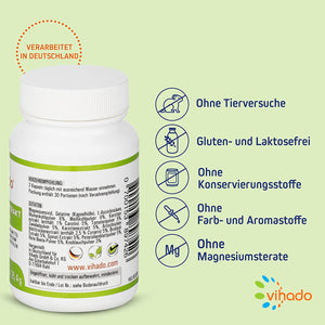 Vihado Gemüse Extrakt – Best of Veggie – Gemüse-Extrakte voller Vitamine – mit Vitamin C, Magnesium und Carotin – 60 Kapseln