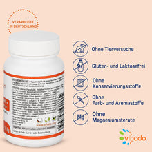 Vihado Obst Extrakt – Best of Fruits mit Pflaume, Cranberry, Apfel, Dattel, Bormbeere – Obst-Extrakte und Acerola mit Vitamin C – 60 Kapseln