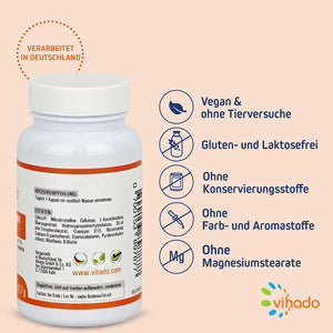 Vihado Coenzym Q10 Kapseln hochdosiert – B-Vitamine und Biotin für Energiestoffwechsel – Vitamin E gegen oxidativen Stress, 90 Kapseln (31,7g)