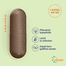 Vihado Ashwagandha Kapseln – vegane Kapseln mit Ashwagandha Extrakt – hochdosiert mit 250 mg – für innere Balance – 90 Kapseln (34,6 g)