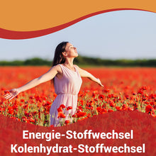 FIGUREX Morning Keto Stoffwechsel-Kur Kapseln mit Koffein - 9-fach starke Power-Formel gegen Müdigkeit mit Pflanzenstoffen, 30 Kapseln (20,8g)