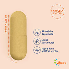 Vihado Coenzym Q10 Kapseln hochdosiert – B-Vitamine und Biotin für Energiestoffwechsel – Vitamin E gegen oxidativen Stress, 90 Kapseln (31,7g)