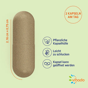 Vihado Gemüse Extrakt – Best of Veggie – Gemüse-Extrakte voller Vitamine – mit Vitamin C, Magnesium und Carotin – 60 Kapseln