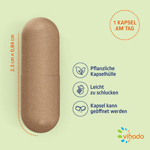 Vihado Löwenzahn Kapseln – naturbelassenes Löwenzahnwurzel Pulver in pflanzlichen Kapseln – bewährtes Nahrungsergänzungsmittel – 120 Kapseln