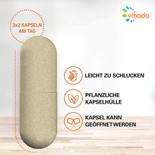 Vihado F-BDY Appetitzügler Kapseln – natürlich Abnehmen mit Konjakwurzel – mit anerkanntem Wirkstoff Glucomannan – 180 Kapseln