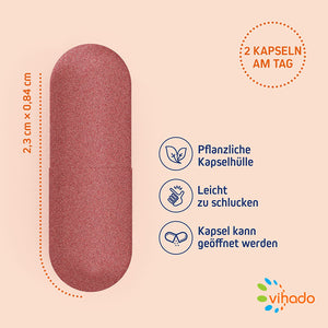 Vihado Obst Extrakt – Best of Fruits mit Pflaume, Cranberry, Apfel, Dattel, Bormbeere – Obst-Extrakte und Acerola mit Vitamin C – 60 Kapseln